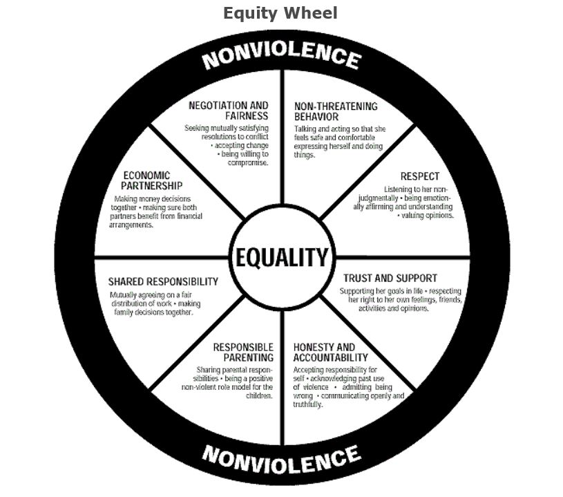 navy equity wheel The American MirrorThe American Mirror