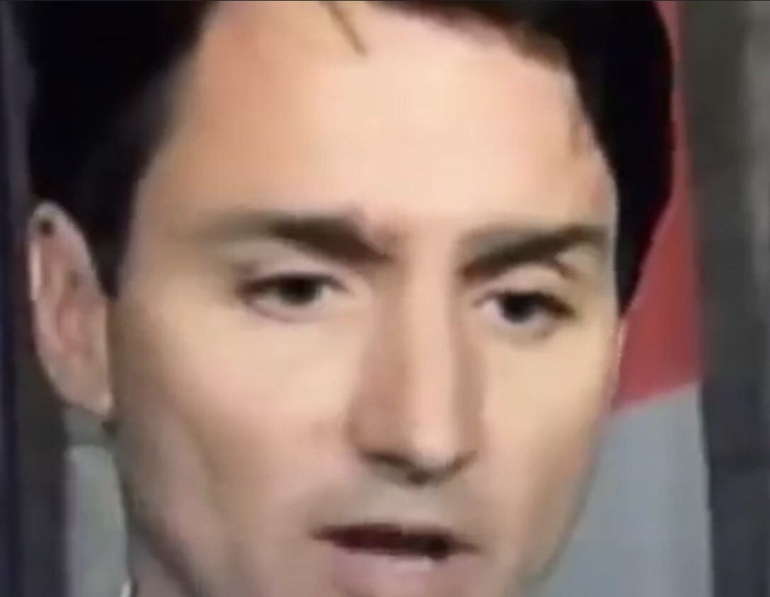 MYSTERY: Was PM Justin Trudeau wearing fake eyebrows during G7 meeting