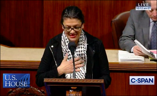 Tlaib wears 'symbol of Hamas terrorists' on House floor to oppose two-state solution in Israel - The American Mirror