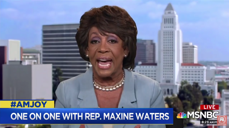 WIGS OFF! Maxine Waters tears into Chuck Schumer 'Will do anything' to